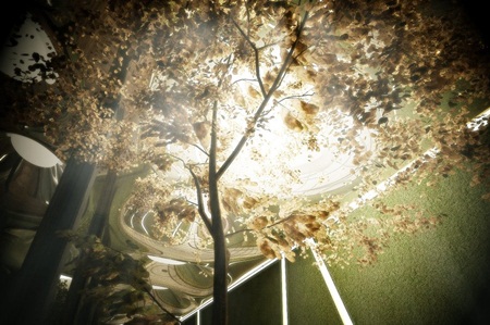 Khám phá công viên ngầm dưới lòng đất